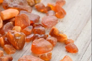 Lauras Bernstein Bonussprogramm