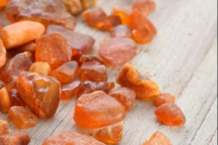 Lauras Bernstein Bonussprogramm